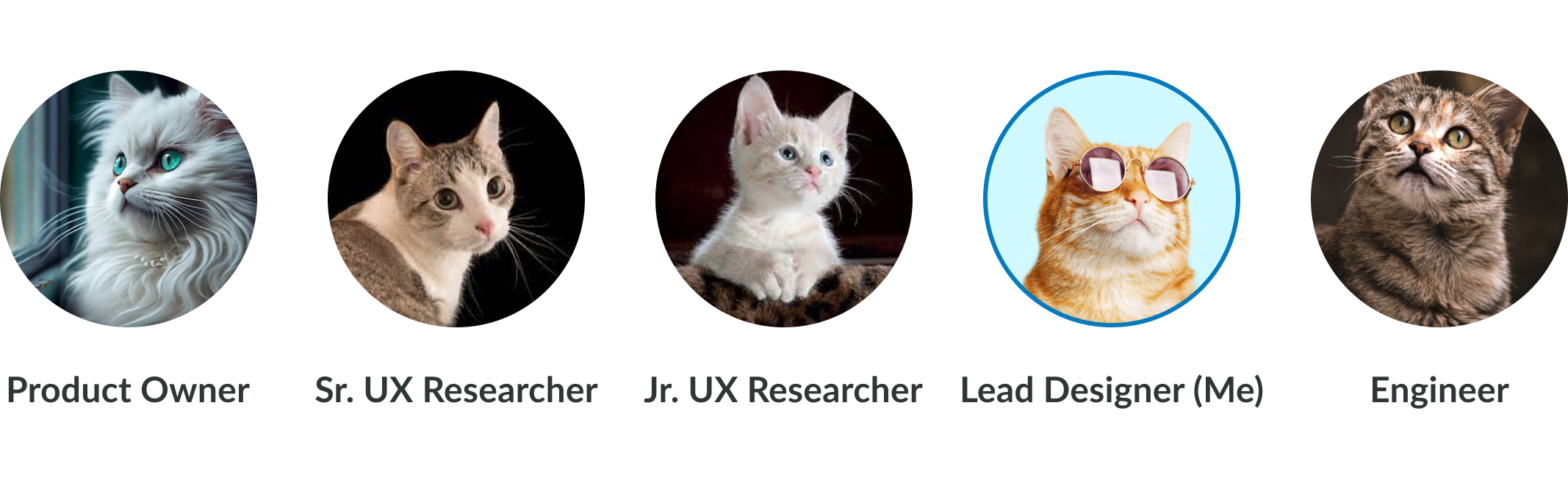 Project team represented as cats